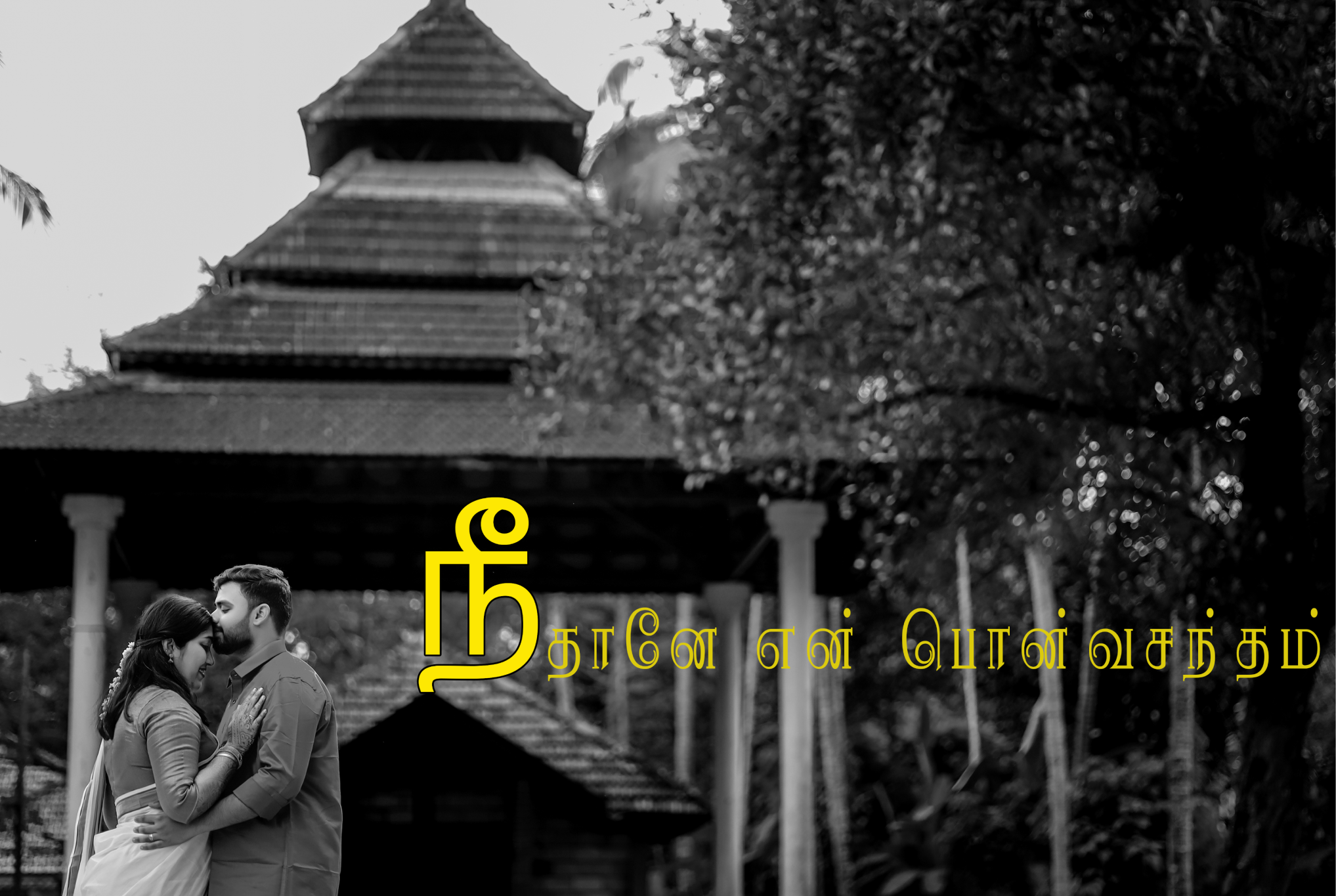 Pre Wedding Photography 1