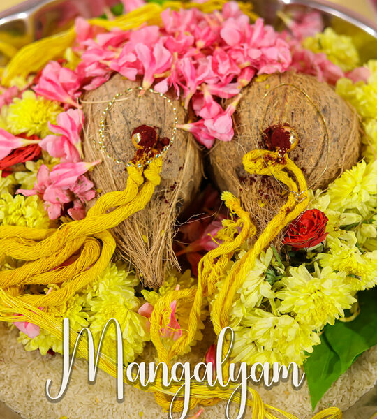 Wedding Photoshoot: Balaji & Divya | Harsha Mahal Coimbatore